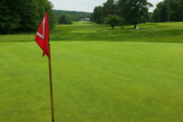 imgi_7_5cc718d253fa12e7685f3b12_15 green pennant (edited)